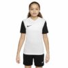 Nike-DH8389-100