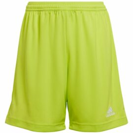 adidas-HC5065