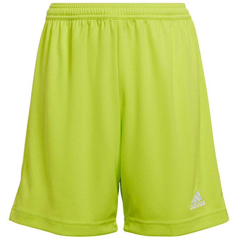 adidas-HC5065