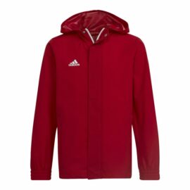 adidas-HG6300