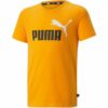 Puma-586985-39