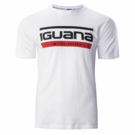 Iguana-92800372100