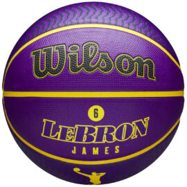 Wilson NBA Player Icon LeBron James Outdoor Ball WZ4005901XB