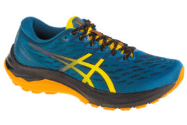 ASICS GT-2000 11 TR 1011B574-750