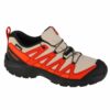 Salomon-471261