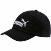 Puma-021688-01