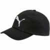 Puma-021688-05