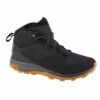 Salomon-409220