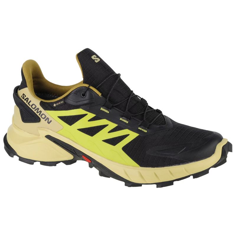 Salomon-417317