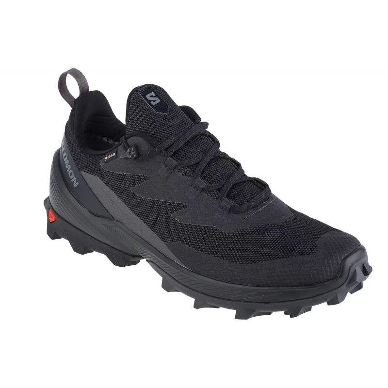 Salomon-472690