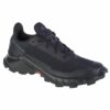 Salomon-473131
