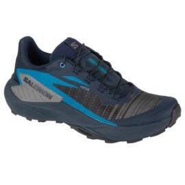 Salomon-474430