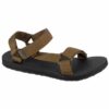 Teva-1004006-DOL