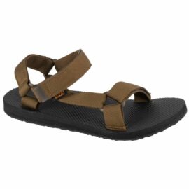Teva-1004006-DOL