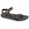 Teva-1004006-RPS