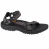 Teva-1017419-BMBLC
