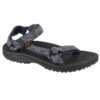 Teva-1017419-DVN