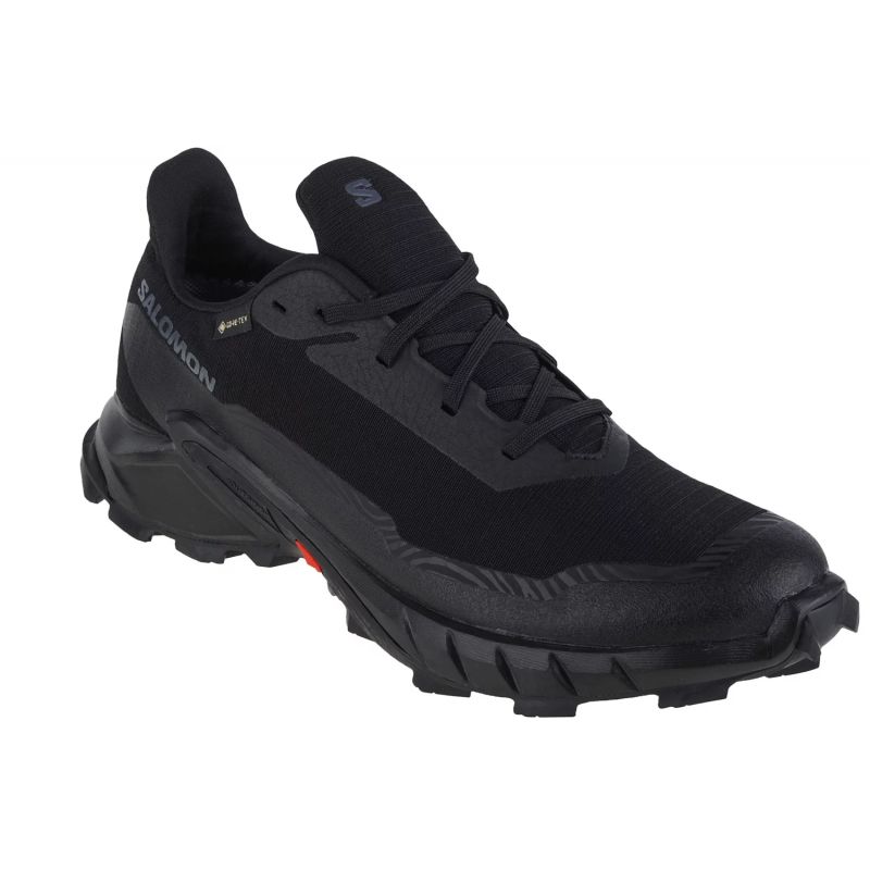Salomon-473075