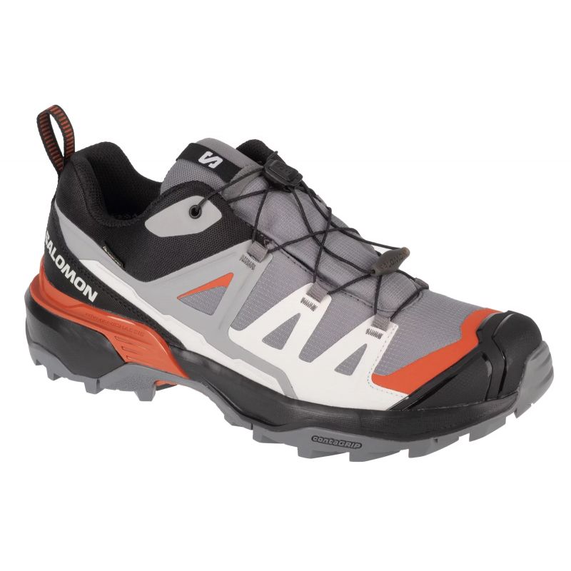 Salomon-474535