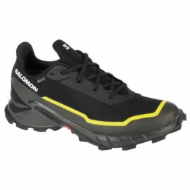 Salomon-474604