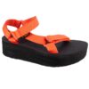 Teva-1008844-TGLY