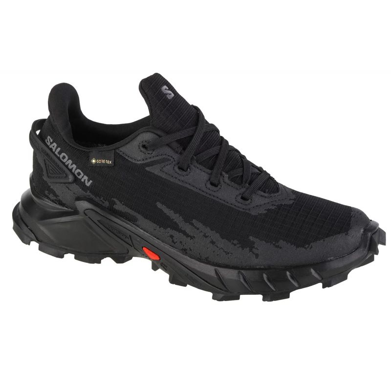Salomon-470641