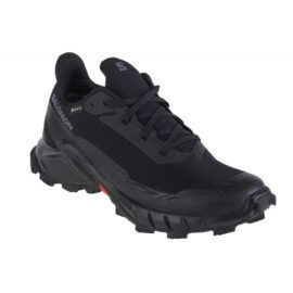 Salomon-473109