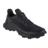 Salomon-473127