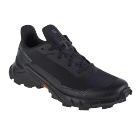 Salomon-473127