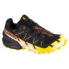 Salomon-474654